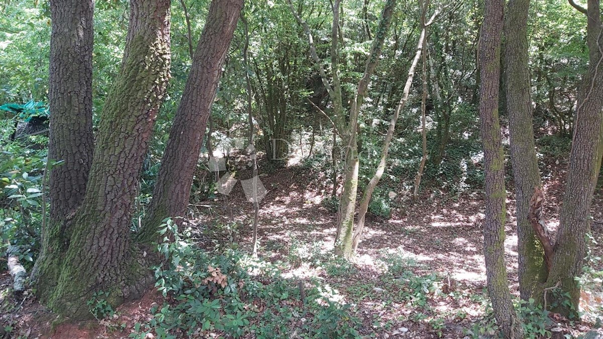 Land For sale - ISTARSKA  MARČANA 