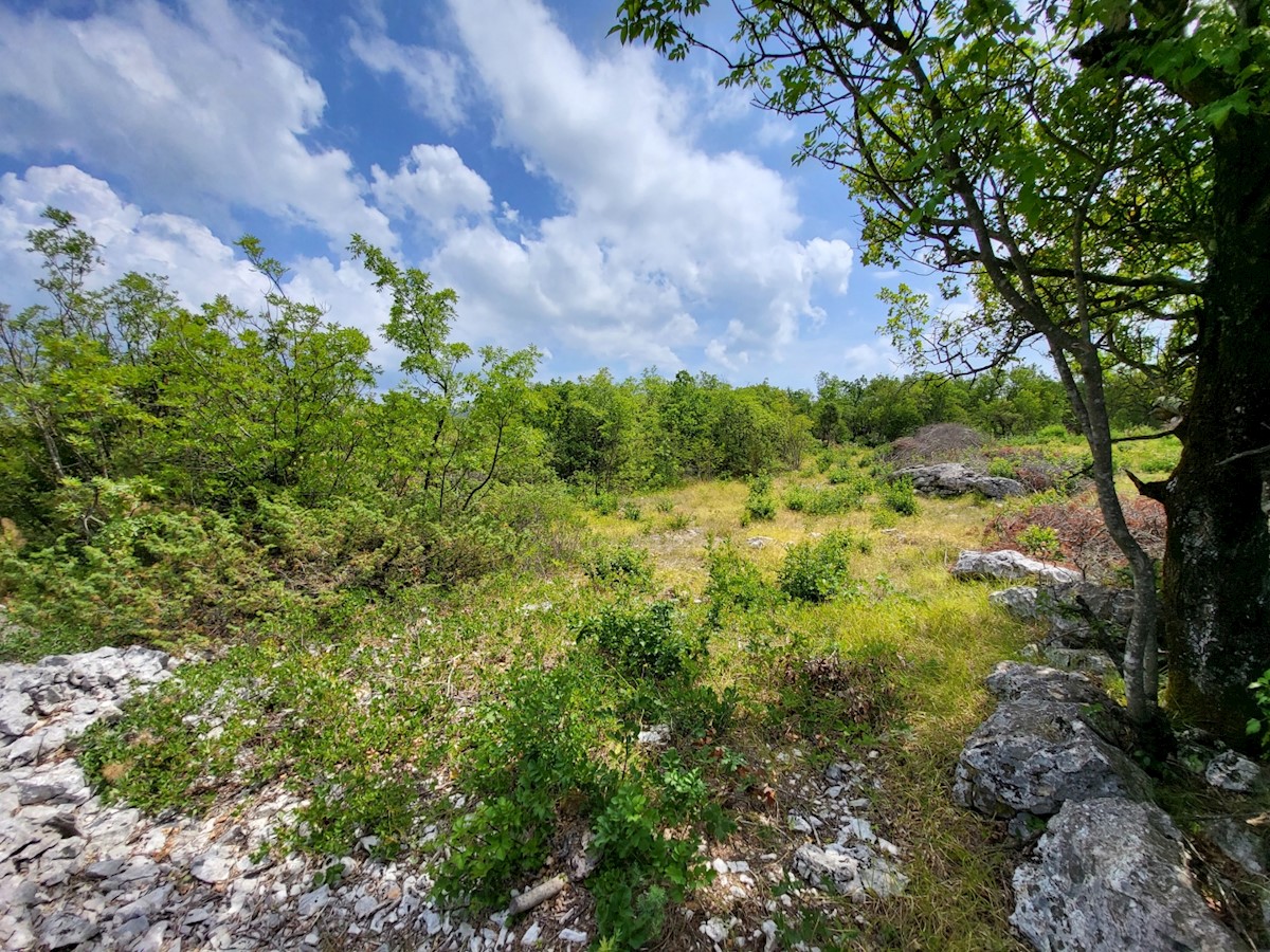 Land For sale - ISTARSKA  LABIN 