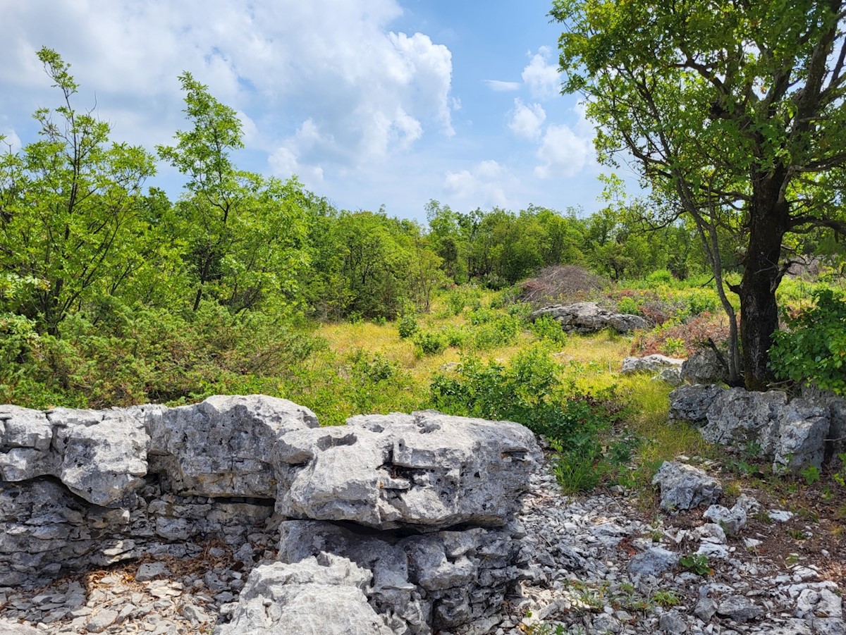 Land For sale - ISTARSKA  LABIN 