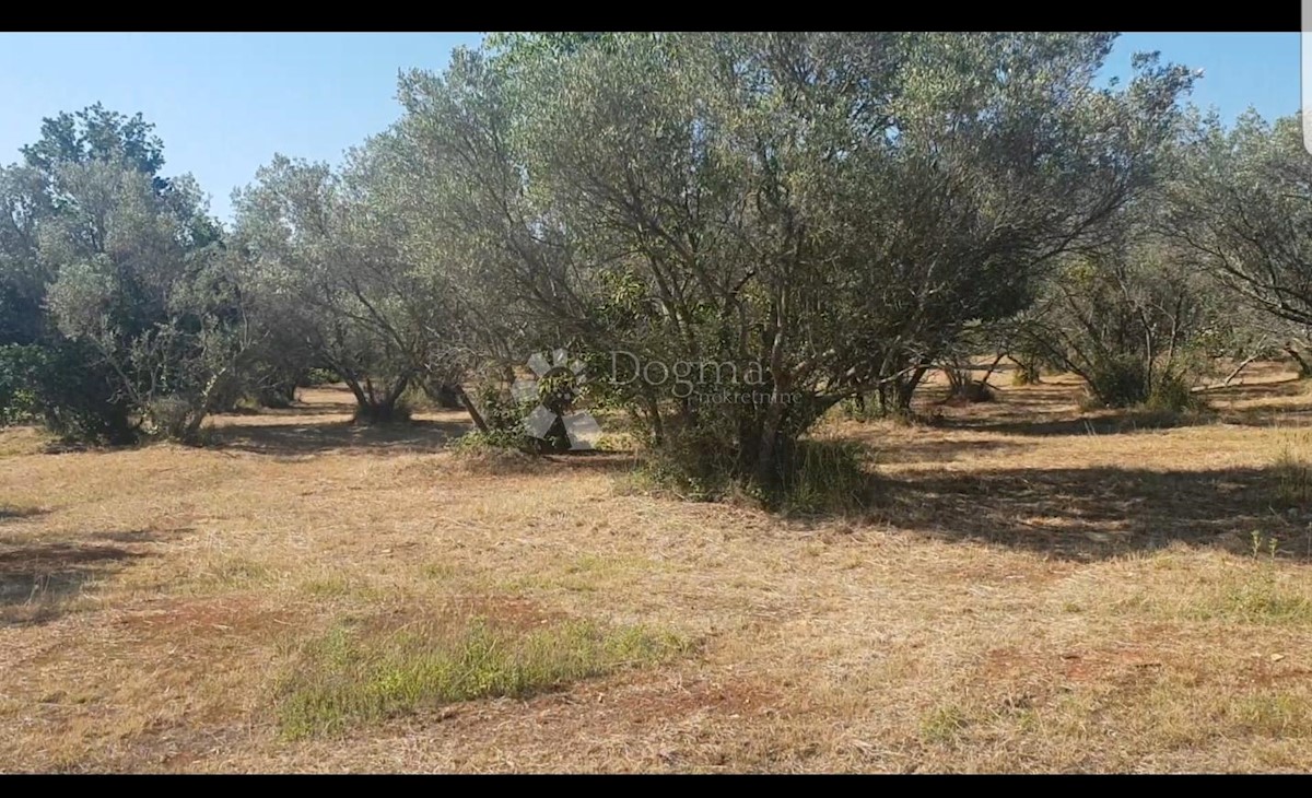 Terrain À vendre - Istarska Vodnjan - foto 3/9