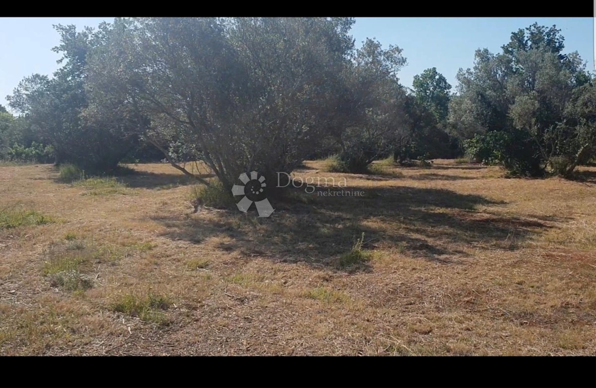 Terrain À vendre - Istarska Vodnjan - foto 5/9