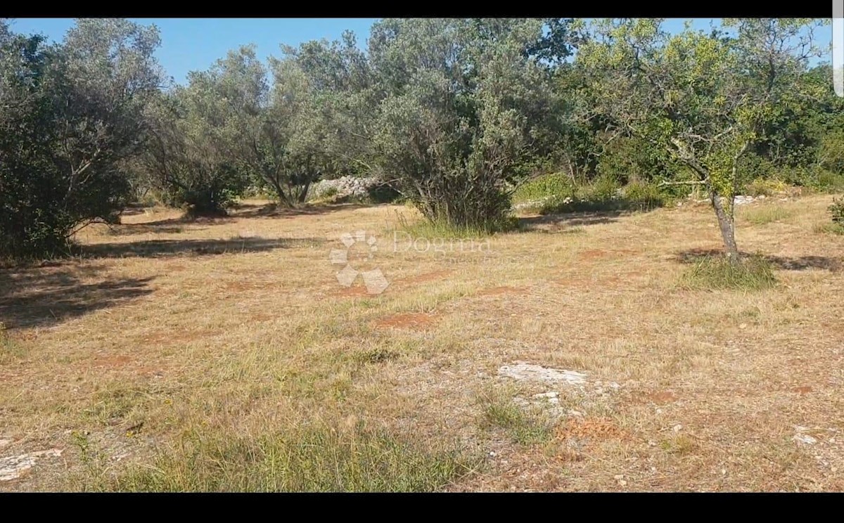 Terrain À vendre - Istarska Vodnjan - foto 2/9