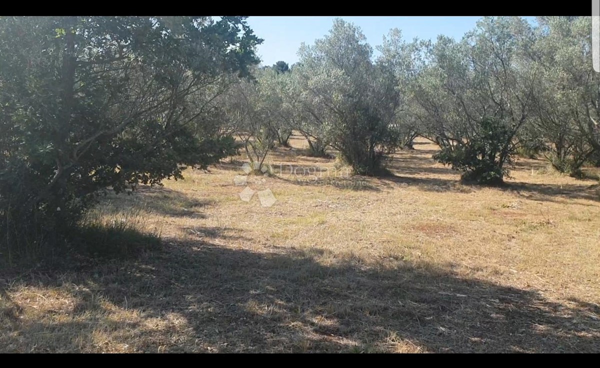 Terrain À vendre - ISTARSKA  VODNJAN 