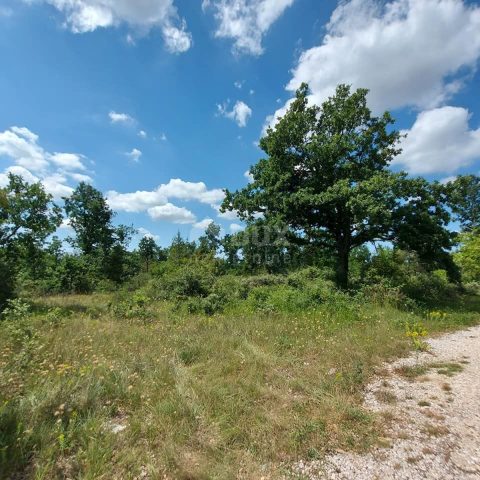 Land for sale 5629 m² – Smolići