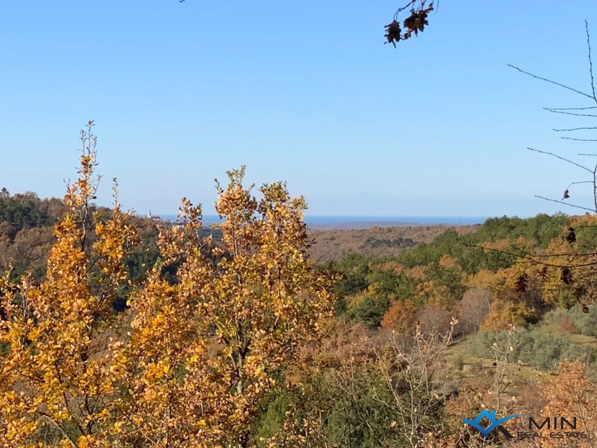 Land For sale - ISTARSKA  GROŽNJAN 