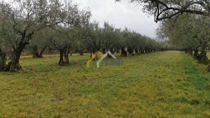 Grundstück Zu verkaufen - Istarska Umag - foto 3/3
