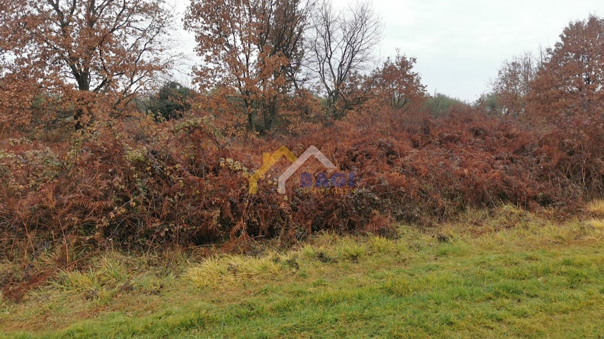 Terreno In vendita - ISTARSKA  UMAG 