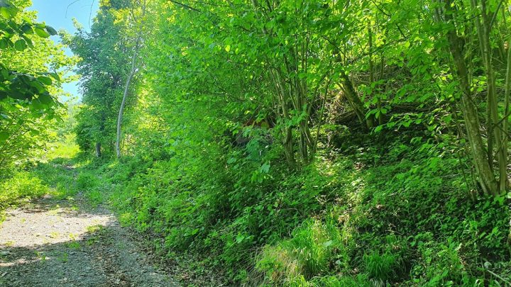 Parcela Naprodaj - Primorsko-goranska Vrbovsko - foto 5/5