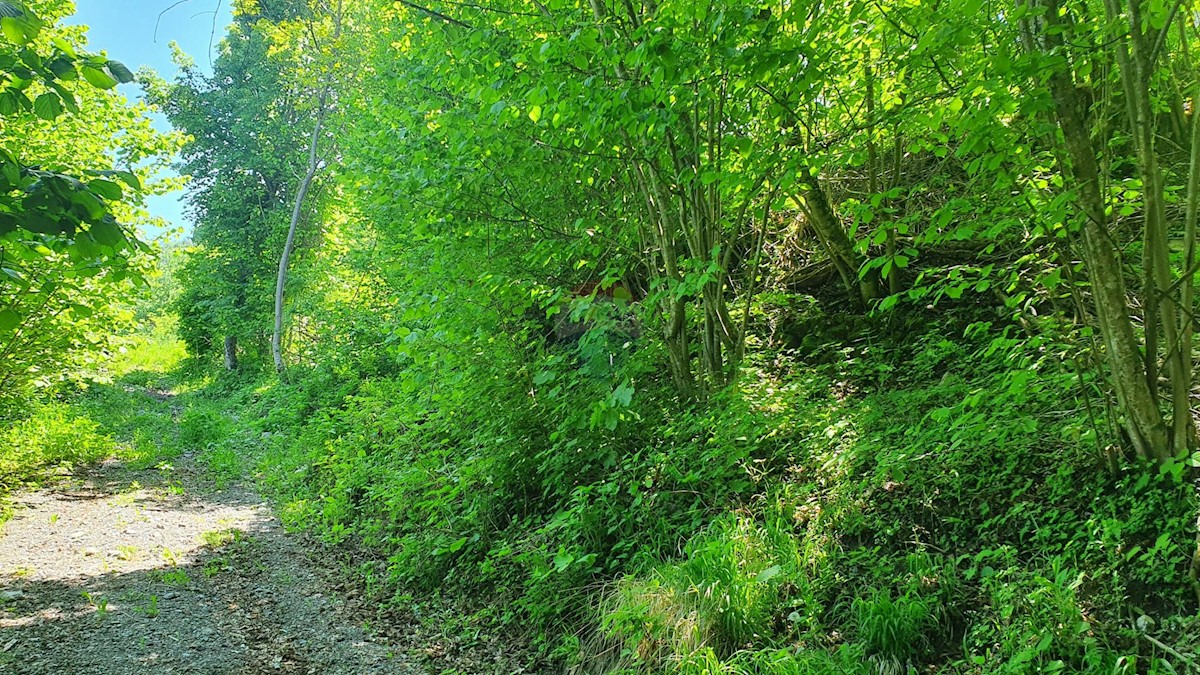 Parcela Naprodaj - PRIMORSKO-GORANSKA  Vrbovsko