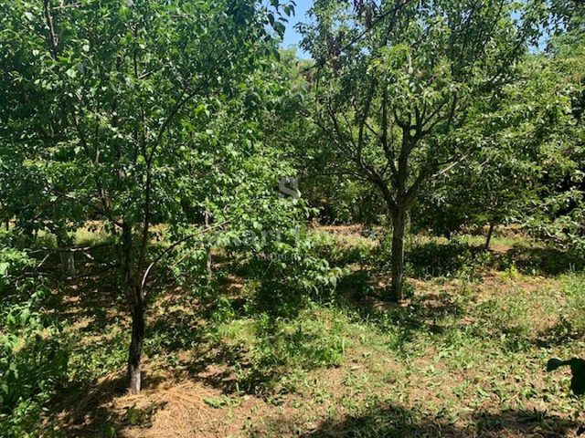 Terrain à vendre 2320 m² – Poljane
