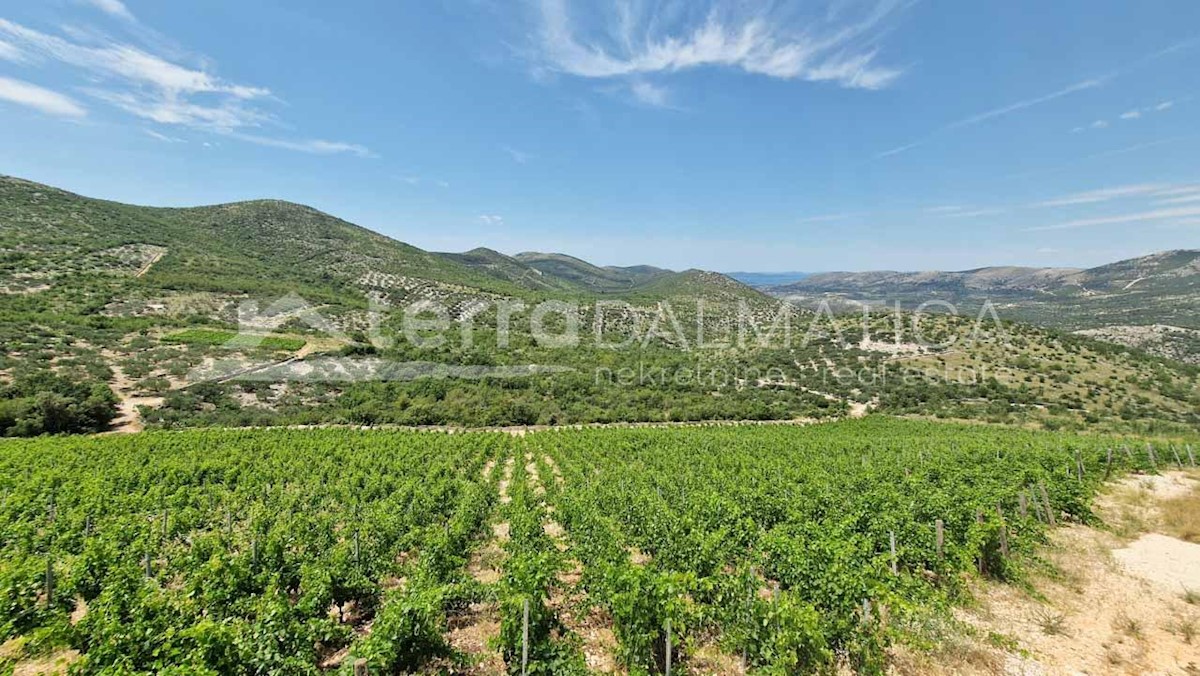 Land For sale - ŠIBENSKO-KNINSKA  PRIMOŠTEN 