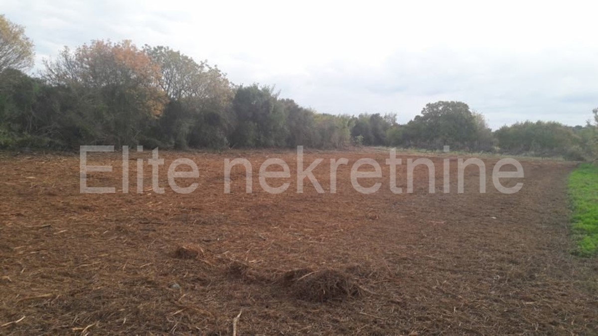 Land For sale - ISTARSKA  PULA 