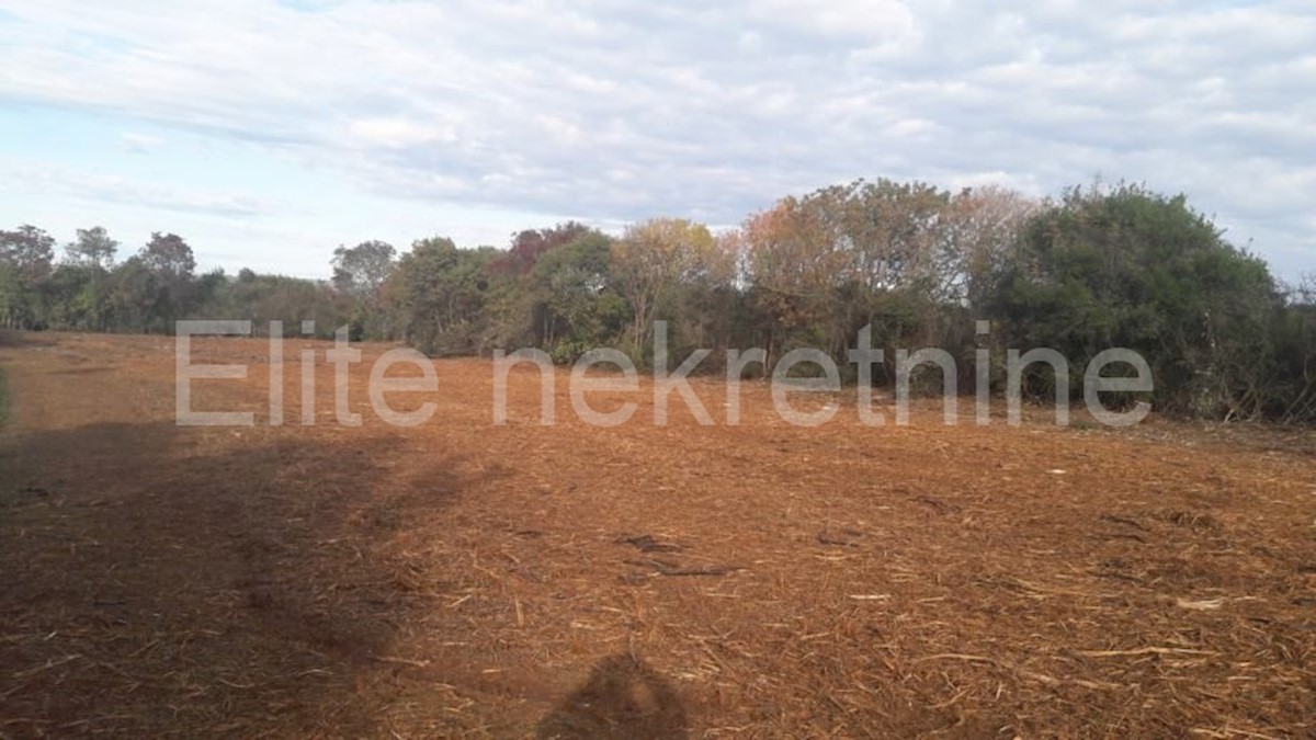 Land For sale - ISTARSKA  PULA 