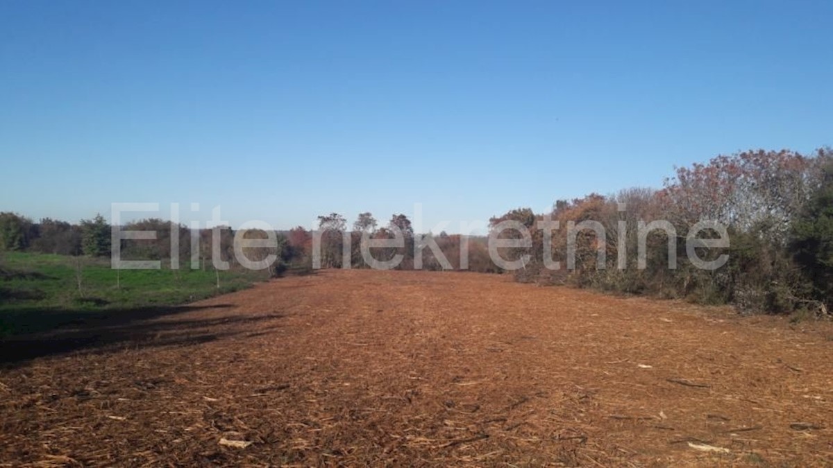 Land For sale - ISTARSKA  PULA 