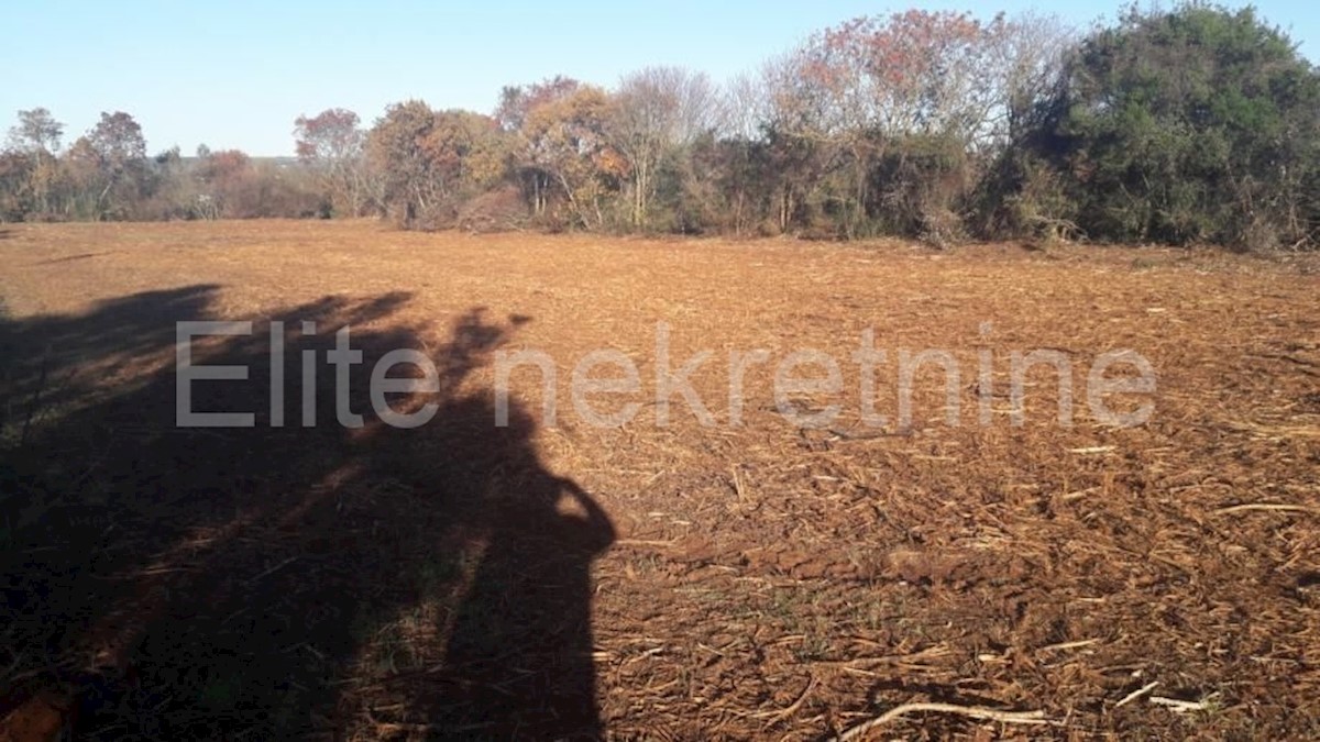 Land For sale - ISTARSKA  PULA 