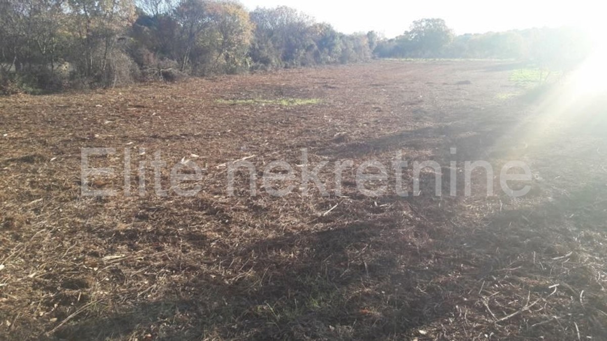 Land For sale - ISTARSKA  PULA 