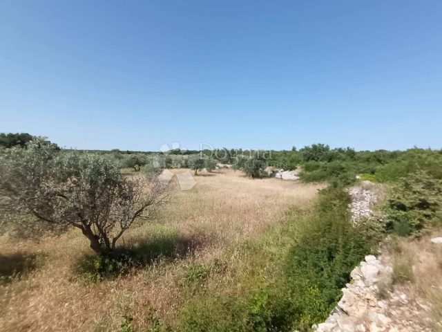 Terreno In vendita - Istarska Vodnjan - foto 4/6