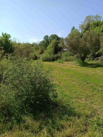 Grundstück Zu verkaufen - Istarska Marčana - foto 3/3