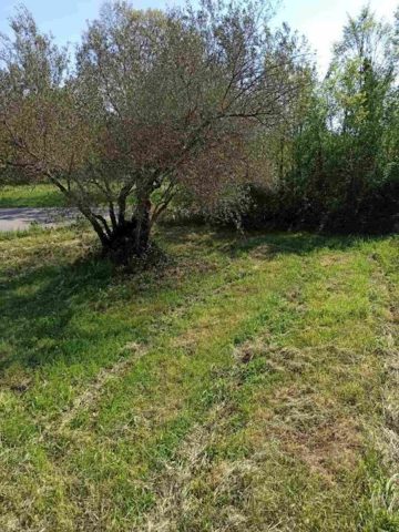 Terrain À vendre - Istarska Marčana - foto 4/4