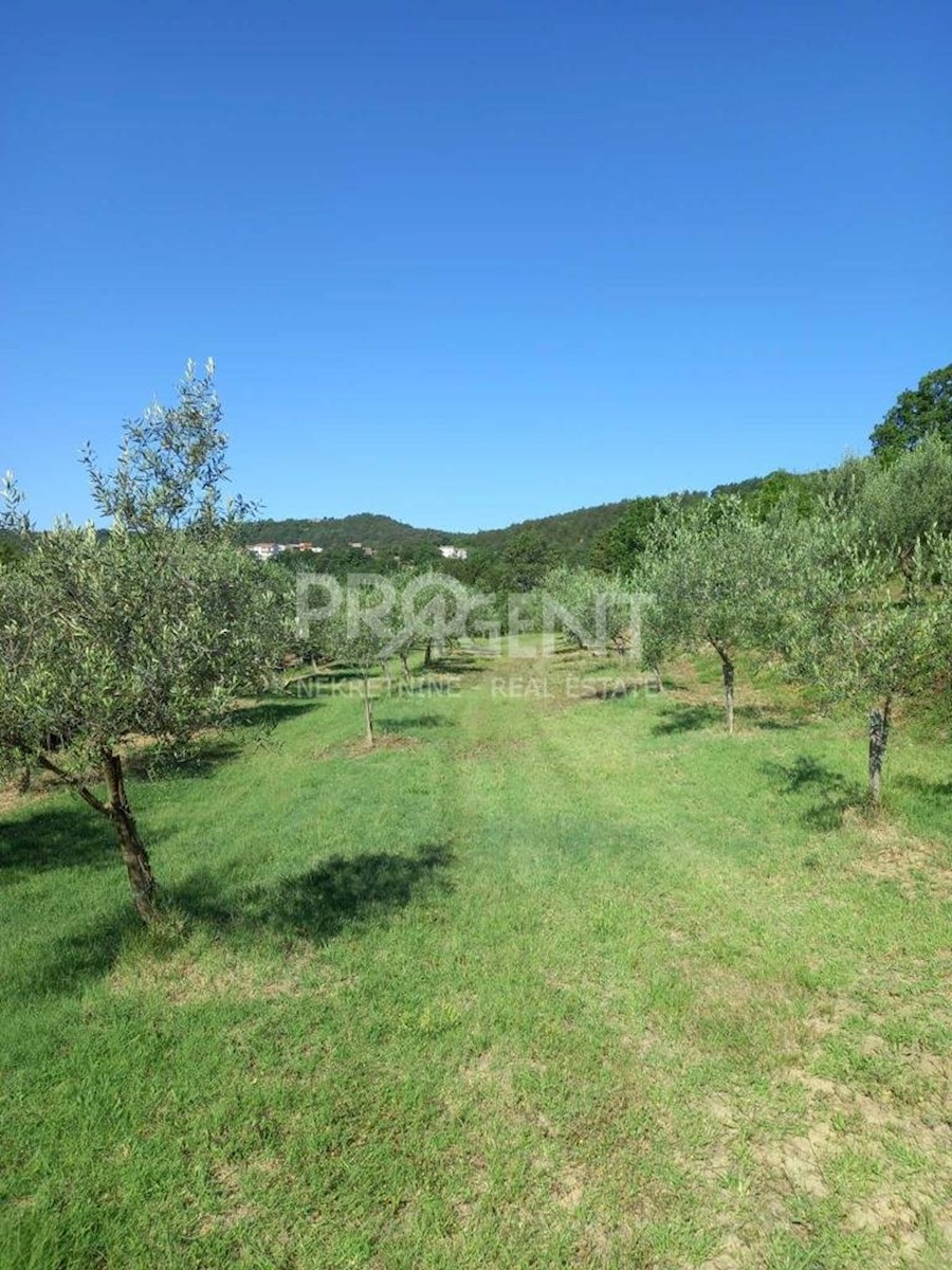 Land For sale - ISTARSKA  BUZET 