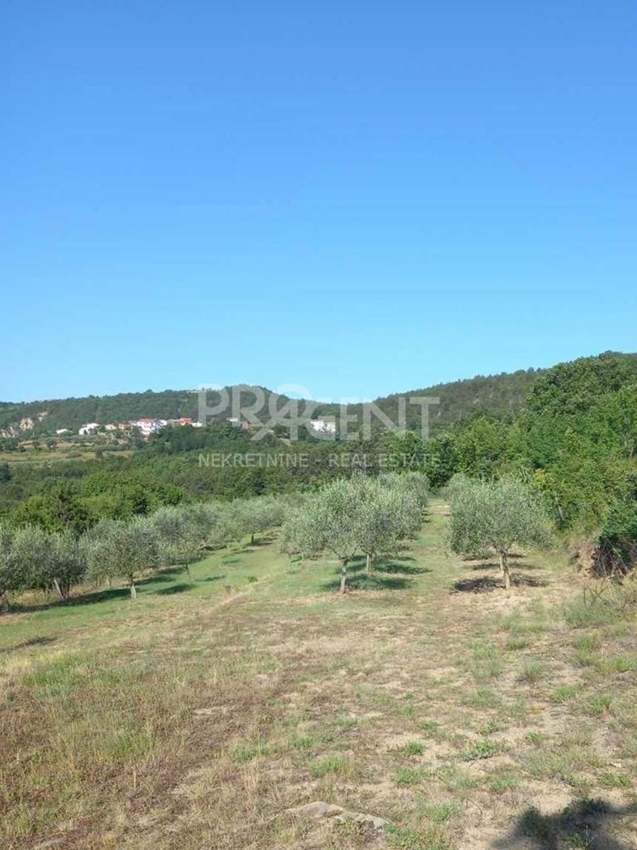 Land For sale - ISTARSKA  BUZET 