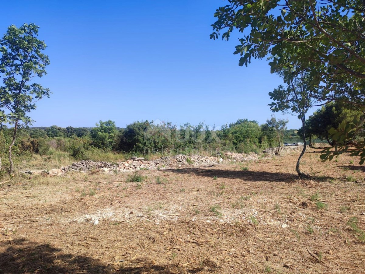 Land For sale - ISTARSKA  MEDULIN 