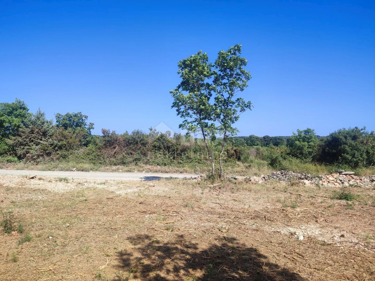 Land For sale - ISTARSKA  MEDULIN 