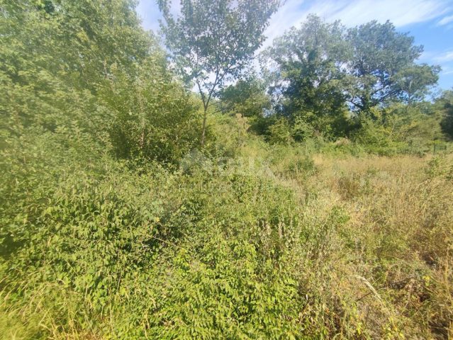 Terreno In vendita - Istarska Vodnjan - foto 2/3