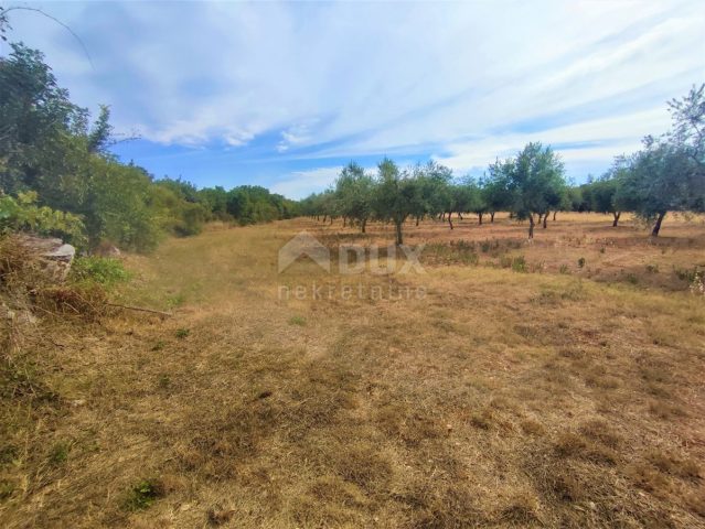 Land for sale 3187 m² – Peroj