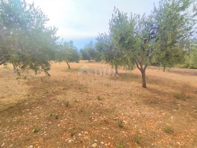 Terreno In vendita - Istarska Vodnjan - foto 4/6