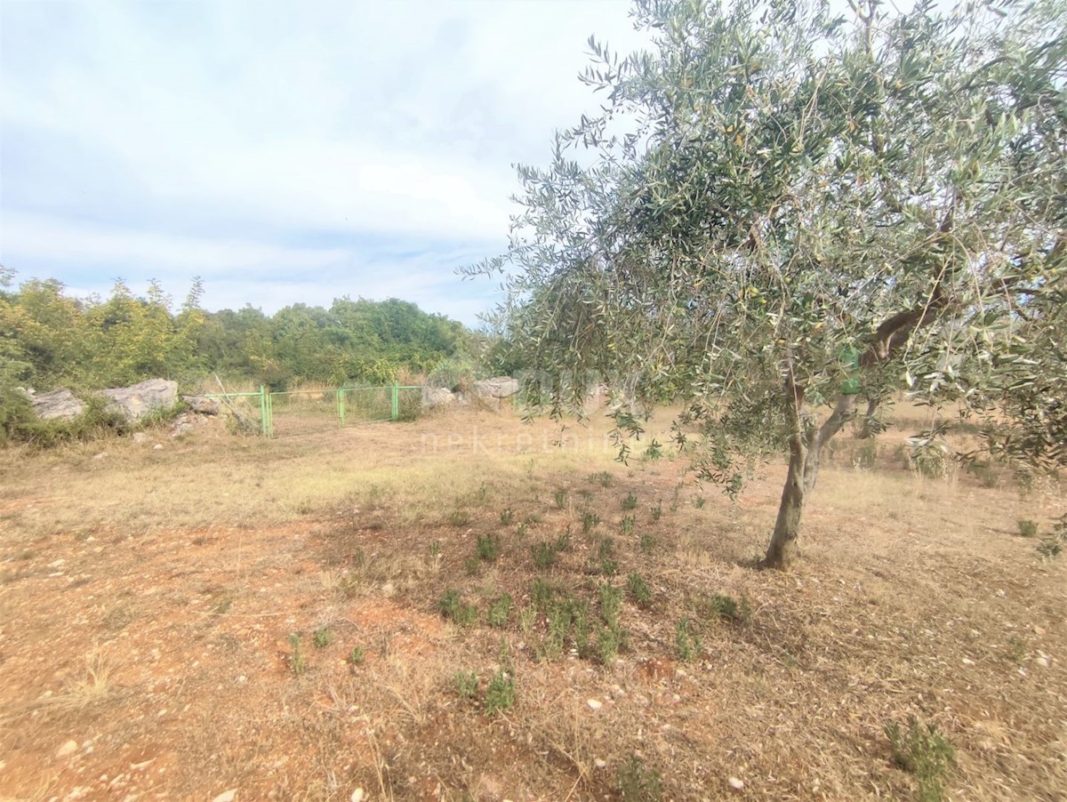 Land For sale - ISTARSKA  Vodnjan