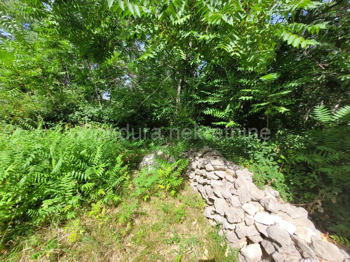 Terrain À vendre - ZADARSKA  Vir