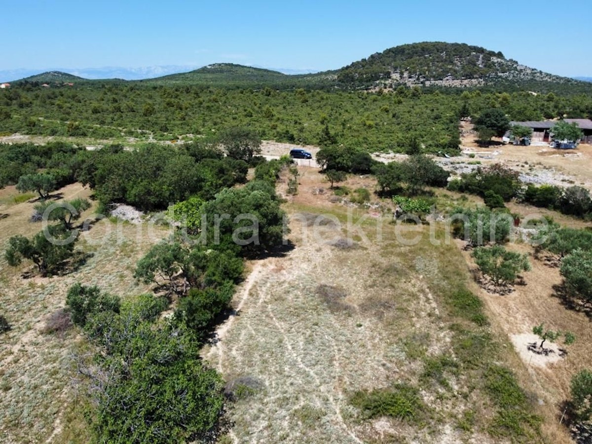 Land For sale - ZADARSKA  SVETI FILIP I JAKOV 