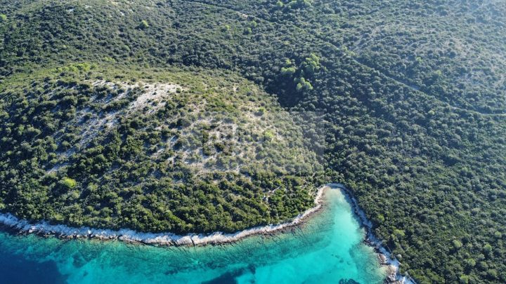 Terrain à vendre 37480 m² – Lovište