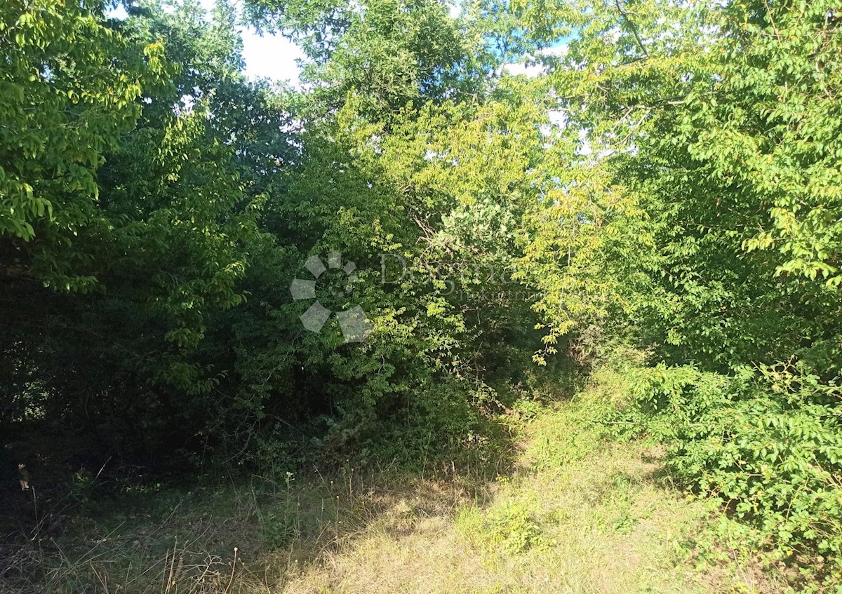 Terreno In vendita - ISTARSKA  MARČANA 