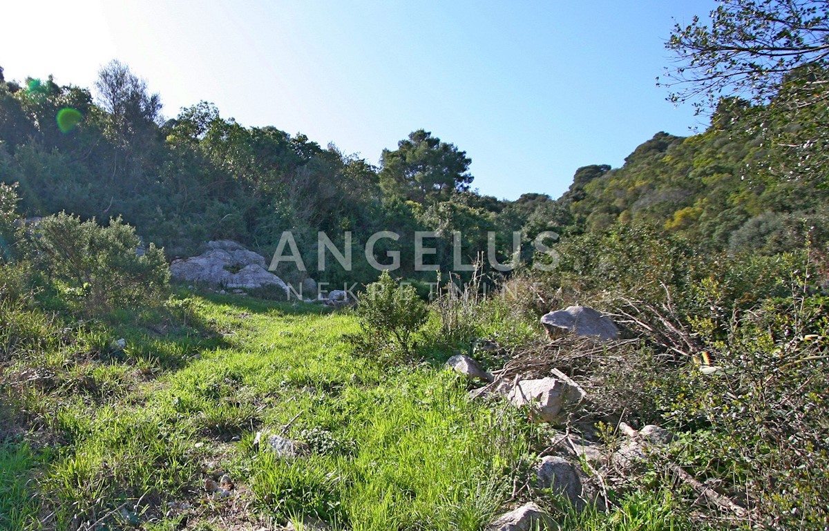 Land For sale - DUBROVAČKO-NERETVANSKA  LASTOVO 