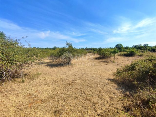 Land for sale 7379 m² – Vodnjan