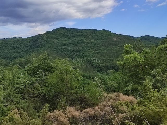 Land for sale 90000 m² – Butoniga