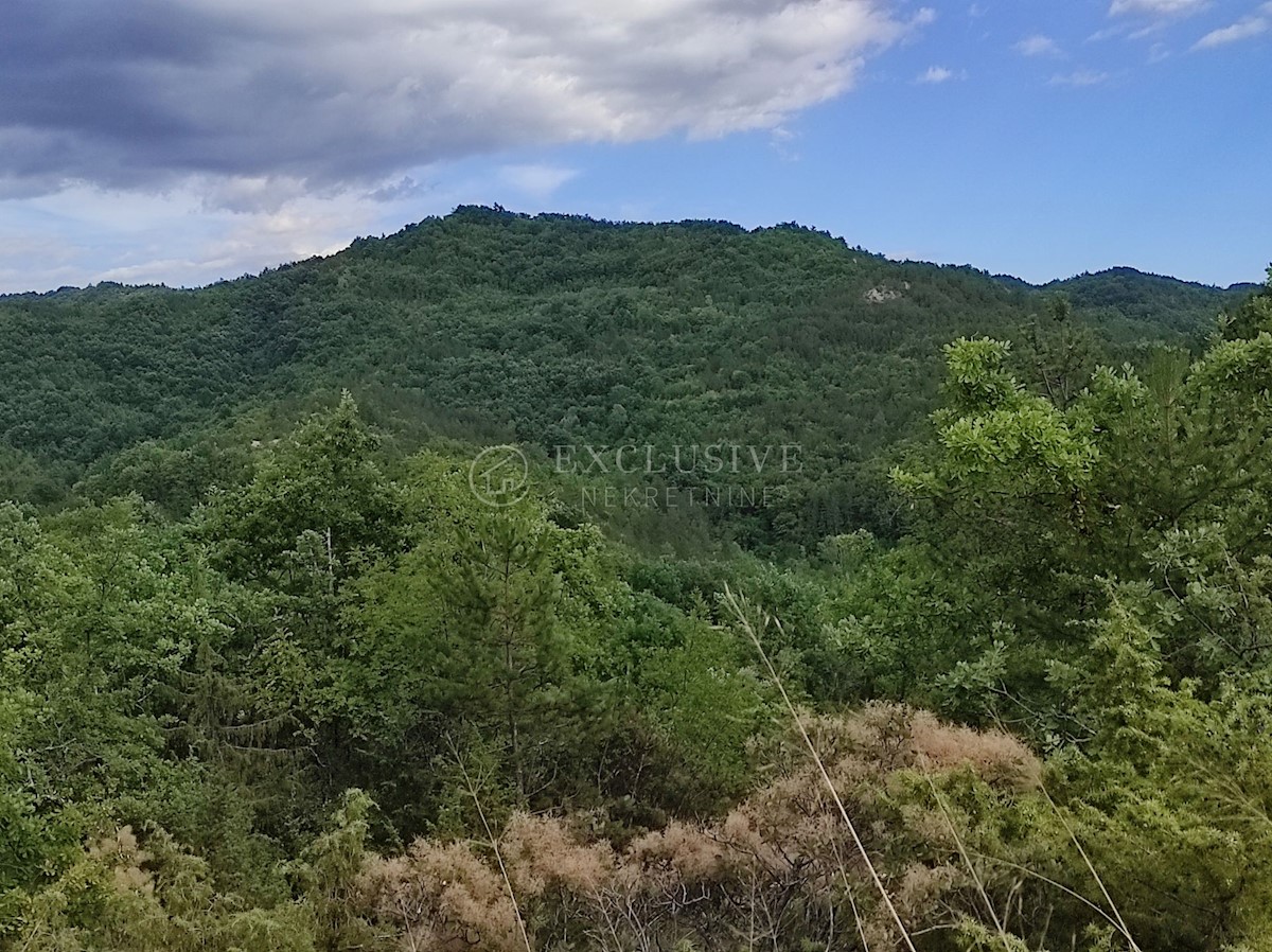Terrain À vendre BUTONIGA