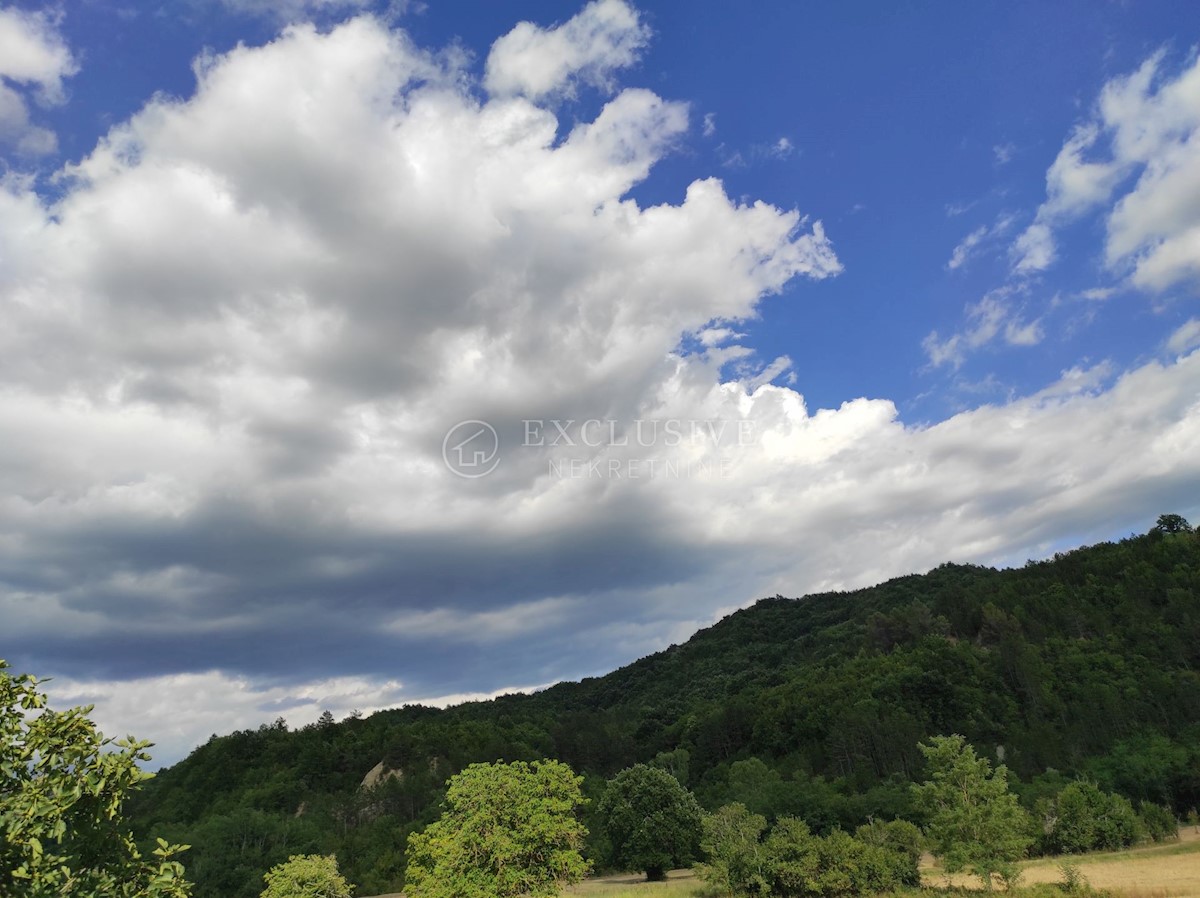 Terrain À vendre - ISTARSKA  PAZIN 