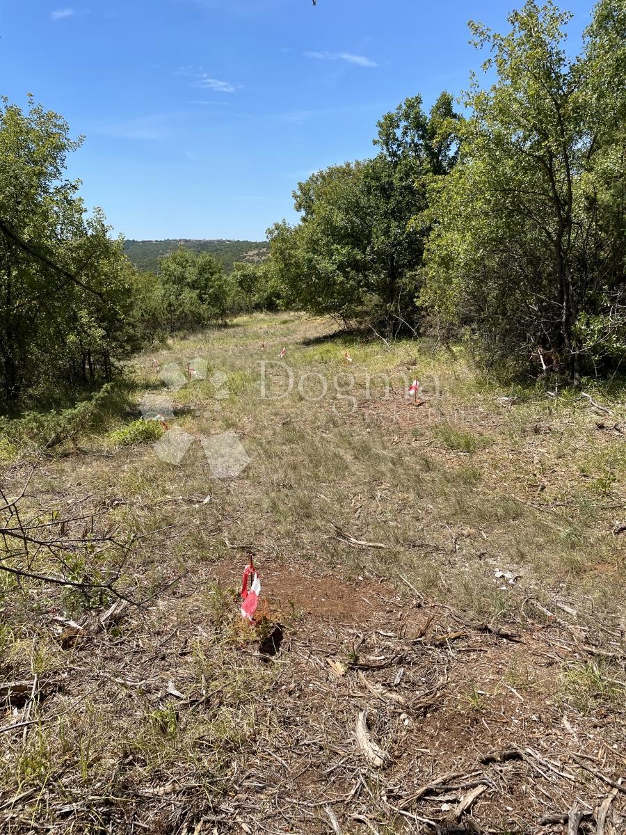 Terreno In vendita - ISTARSKA  Barban