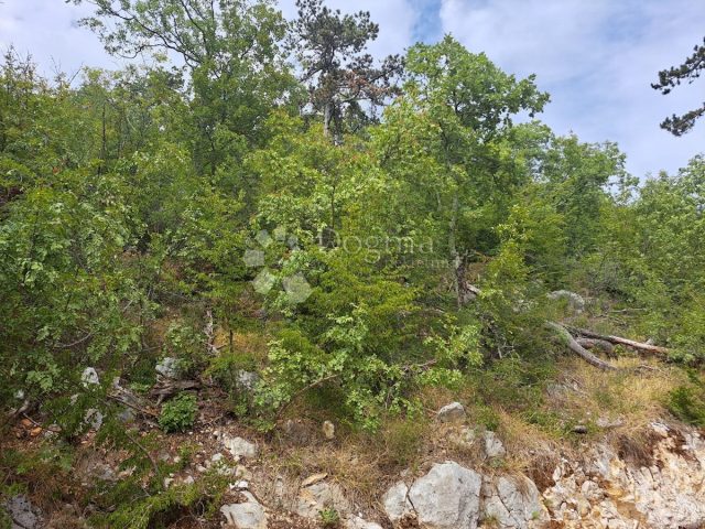 Parcela Naprodaj - Istarska Buzet - foto 4/5
