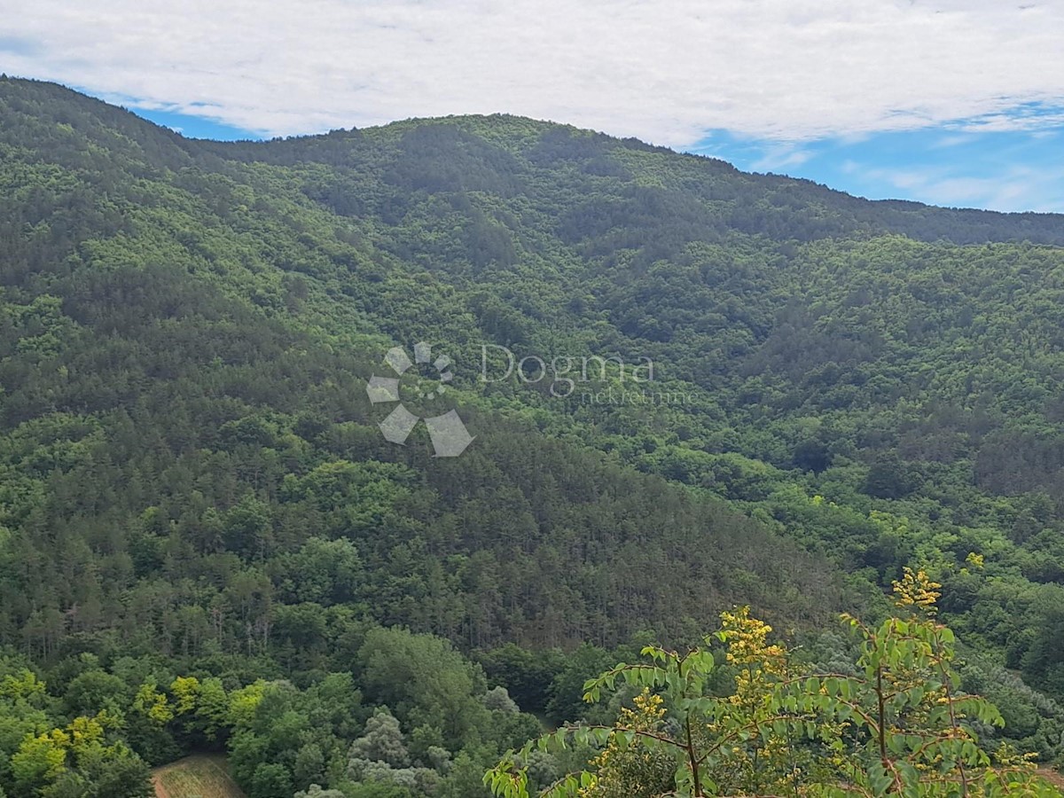 Parcela Naprodaj - ISTARSKA  Buzet