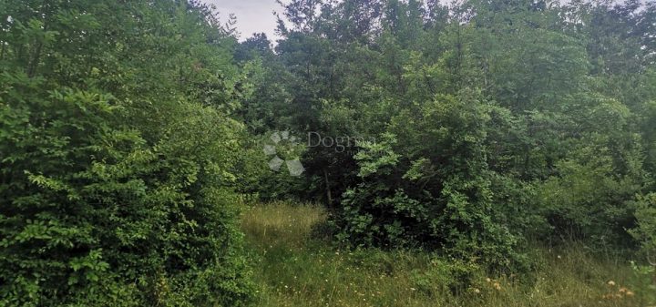 Parcela na predaj 10076 m² – Rakalj