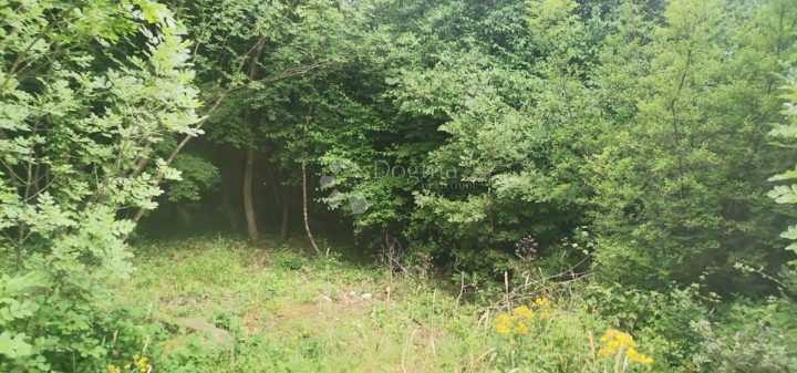 Działka Na sprzedaż - Istarska Marčana - foto 2/4
