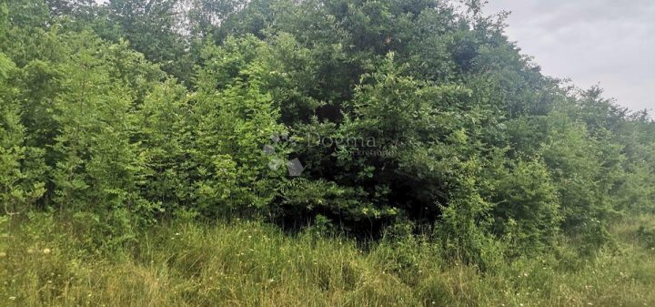 Działka Na sprzedaż - Istarska Marčana - foto 3/4