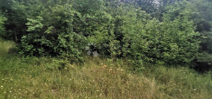 Działka Na sprzedaż - Istarska Marčana - foto 4/4