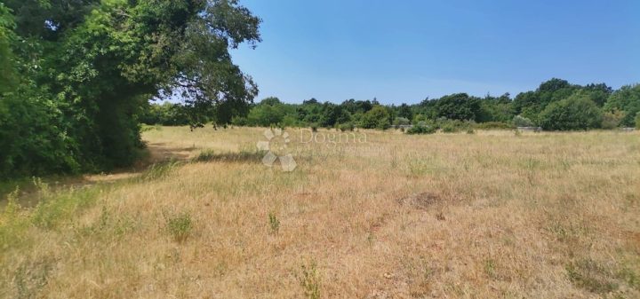 Zemljište na prodaju 5992 m² – Bičići