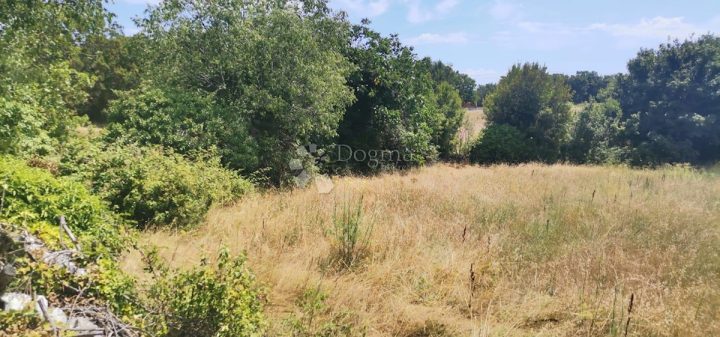 Zemljište Na prodaju - Istarska Barban - foto 4/6