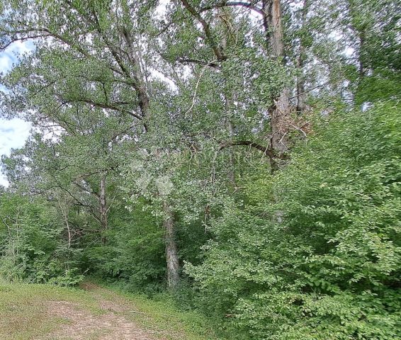 Land for sale 459 m² – Sovinjak